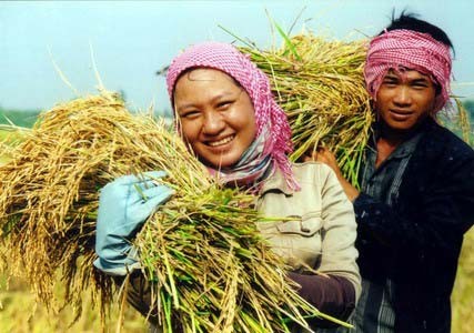 Nông nghiệp - trụ cột của nền kinh tế Việt Nam năm 2012 - ảnh 1